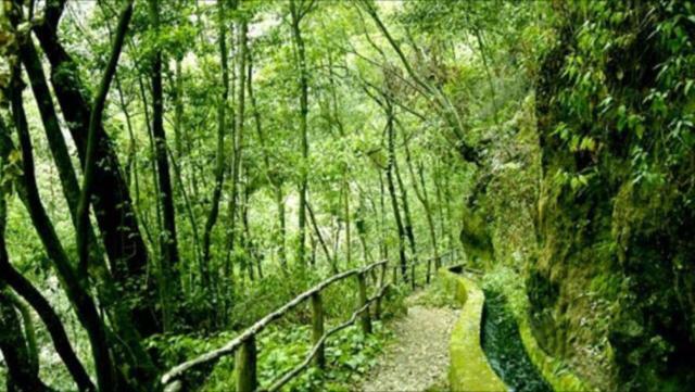 Casa Deco, La Galga, La Palma 빌라 외부 사진